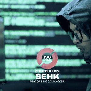 senior ethical hacker